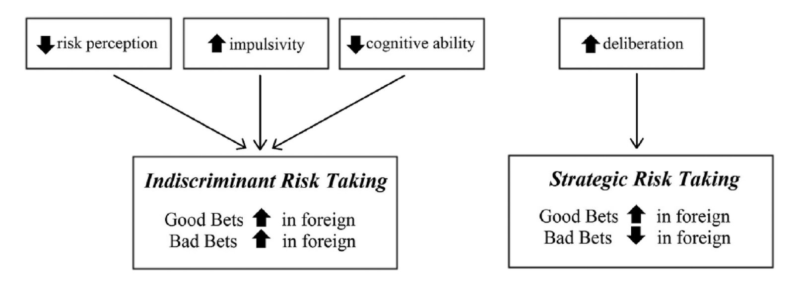 Process paths resulting in either indiscriminant or strategic risk-taking when using a foreign language.