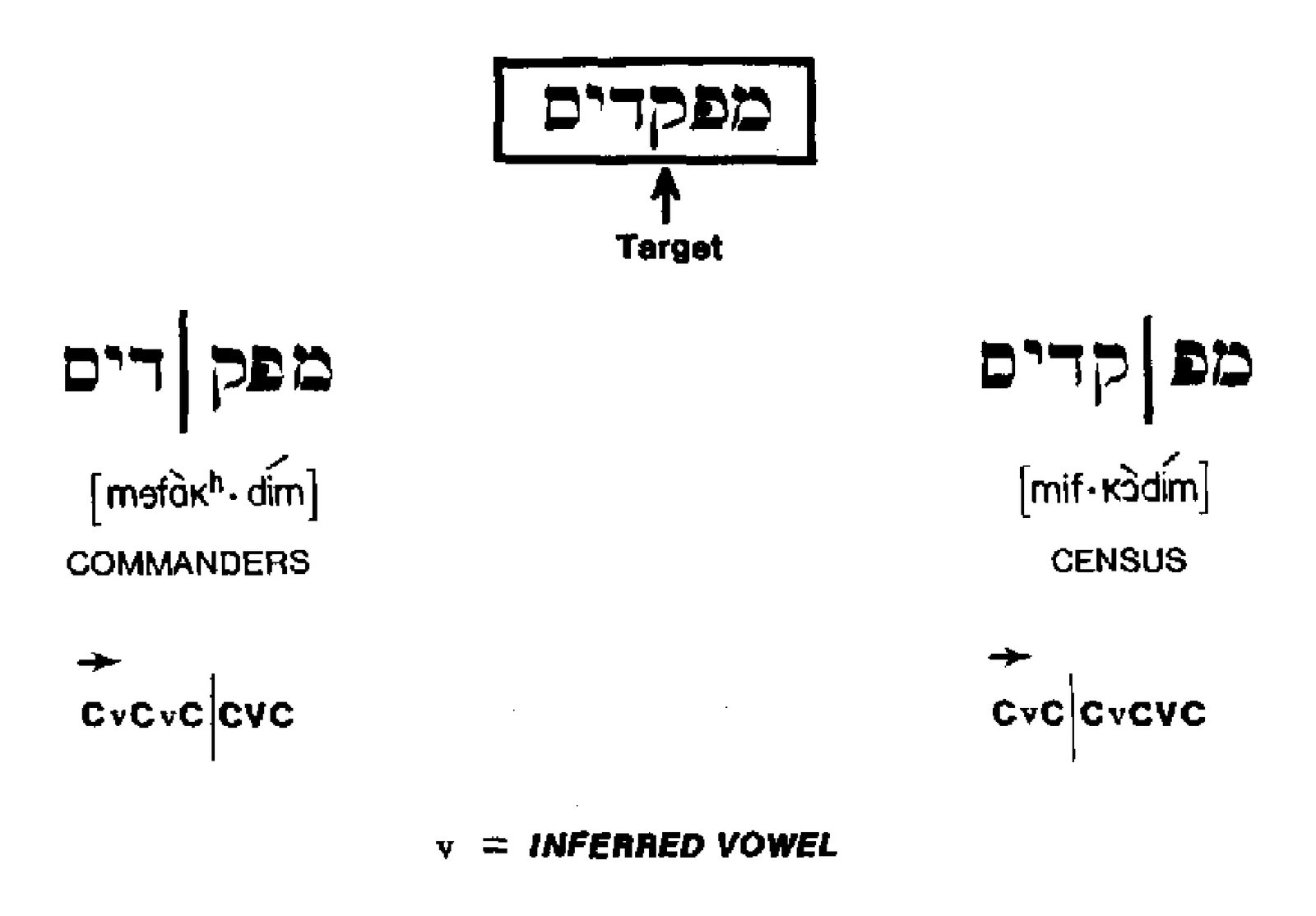 Sample stimulus from Experiment 3. (Each Hebrew letter string represented two different words. Each of these words had a different syllable…