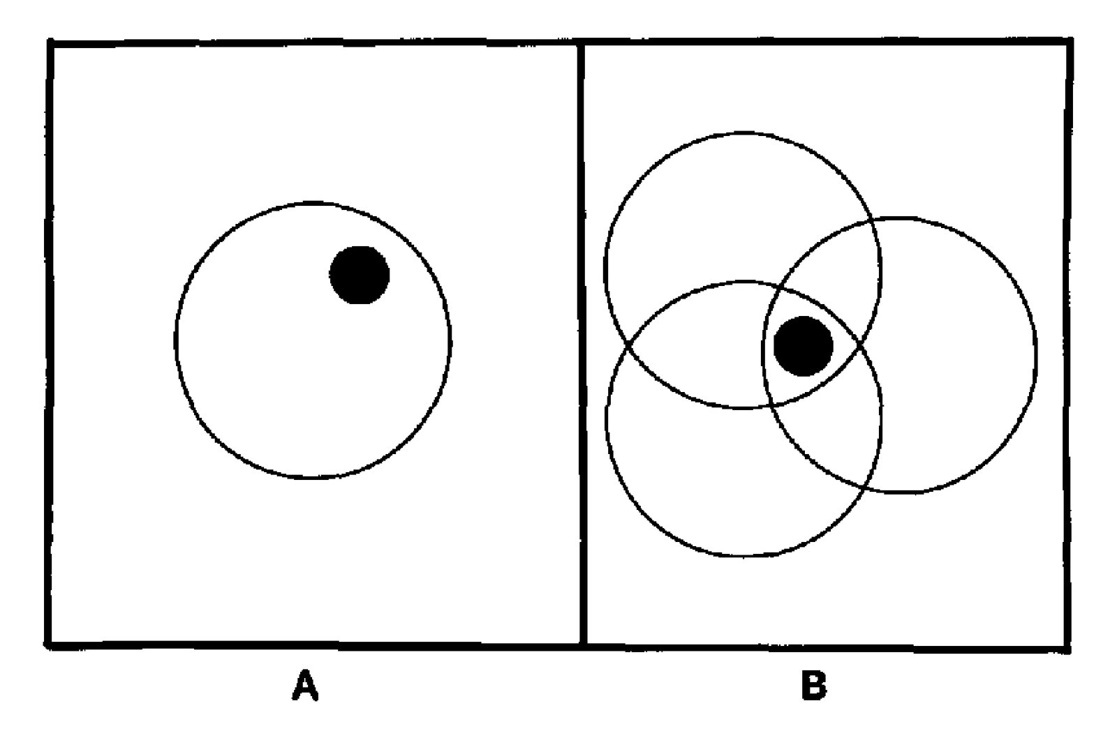A. The receptive field of one hypothetical “blue polka dot” detector (polka dot shown in black). B. The receptive fields of several blue pol…