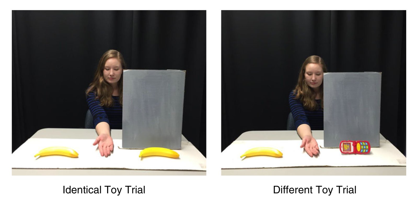 Two experimental trials showing a woman as director requesting toys from behind a barrier. Left: Identical Toy Trial with two bananas visible. Right: Different Toy Trial with banana and toy phone visible.