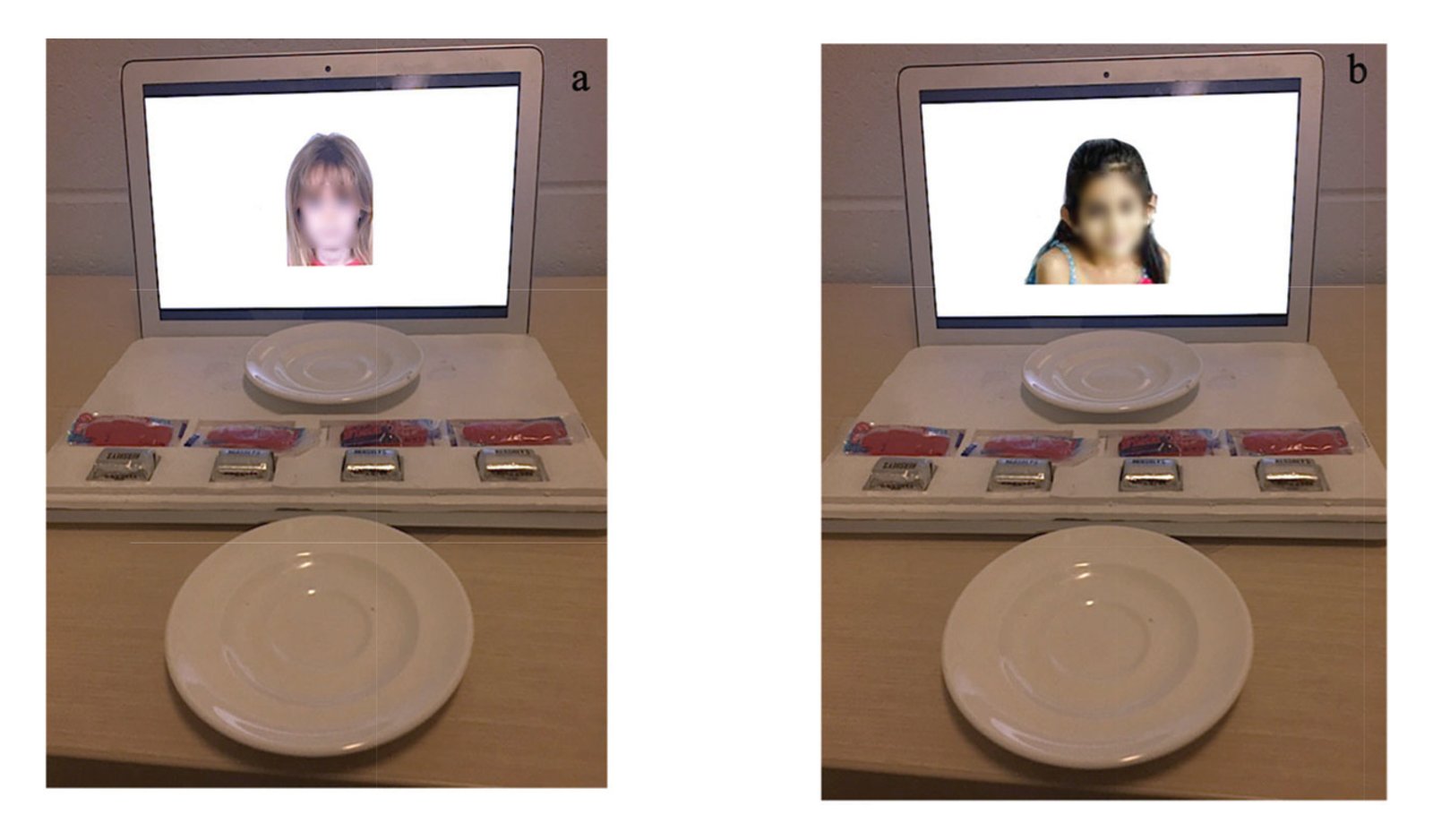 Two setups of apparatus for candy distribution task, showing computer screen with child’s face, candy samples, and collection plate
