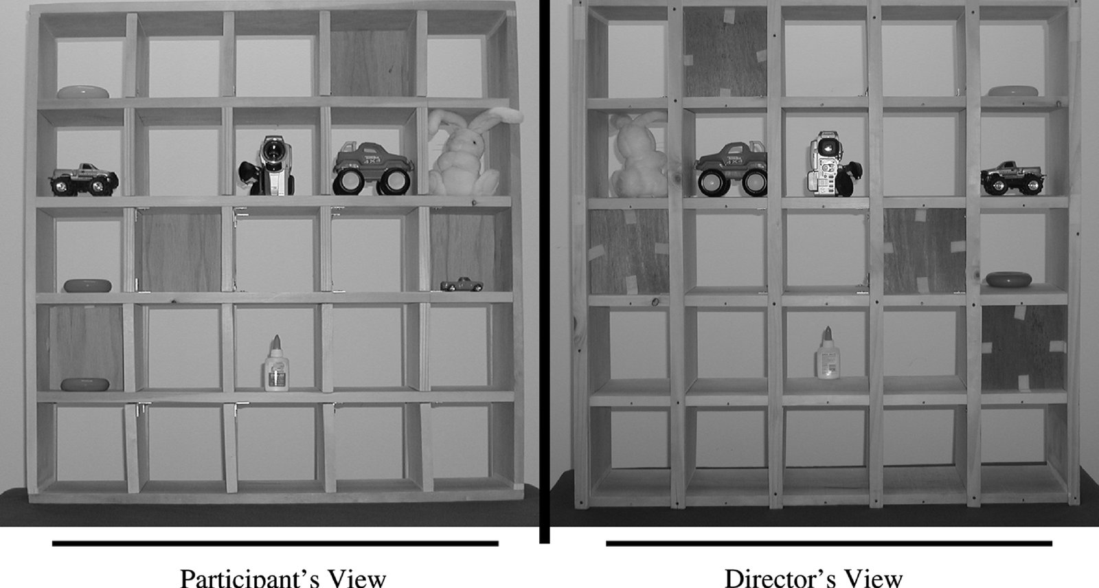 Array of objects, including both occluded and mutually observable objects, from the participant’s and director’s perspective.